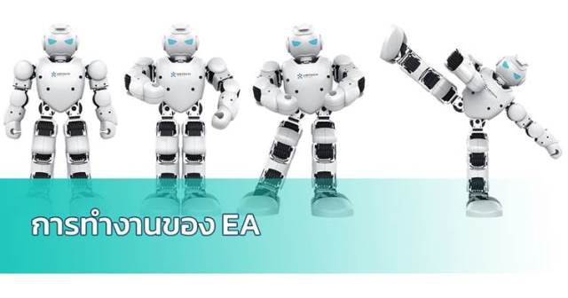รูปที่ 4 การทำงานของ EA